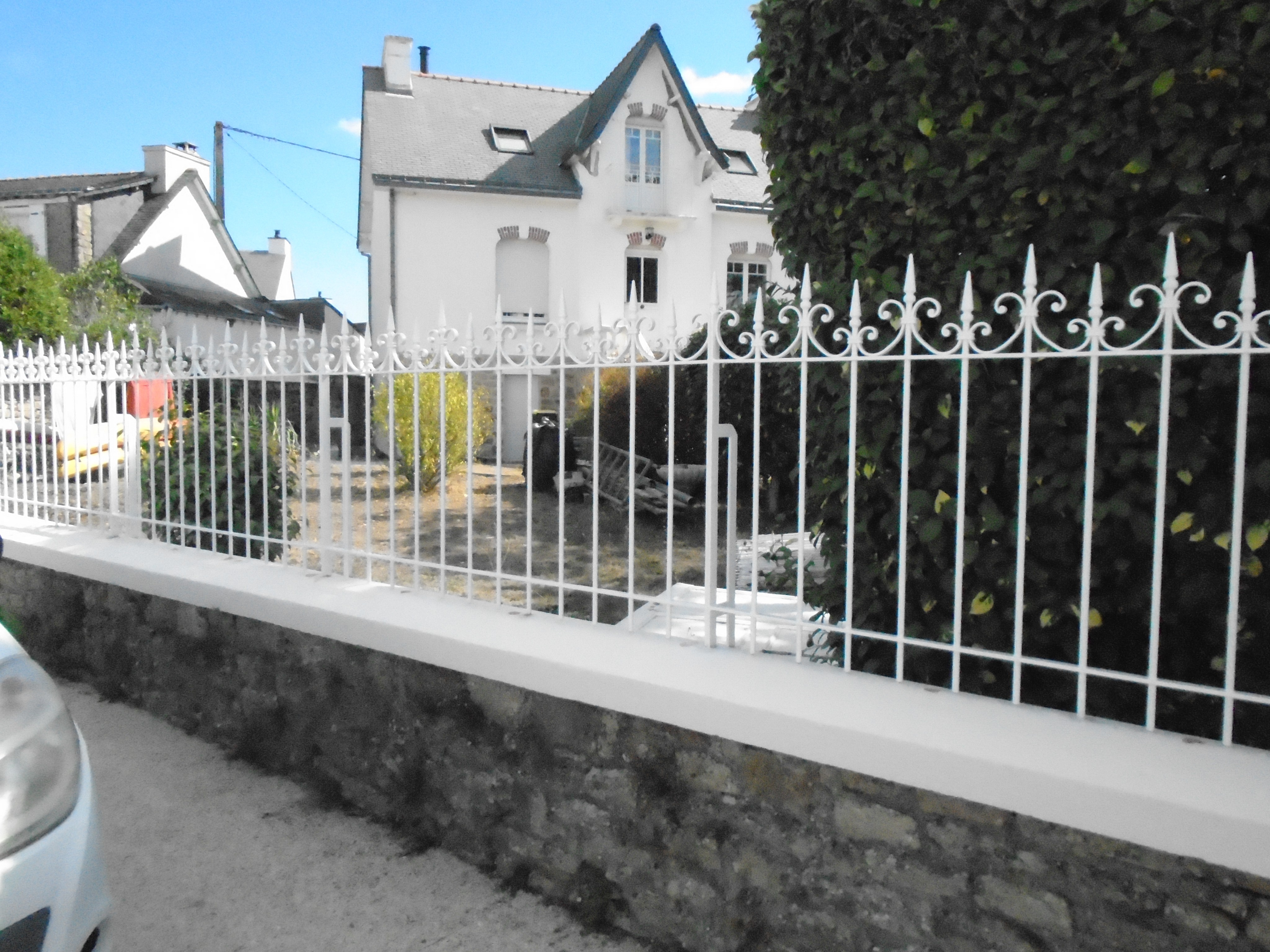 Grille en fer forgé