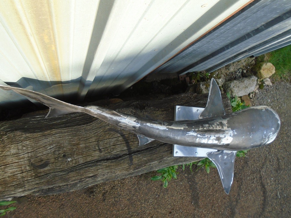 Sculpture métallique requin pointe noire