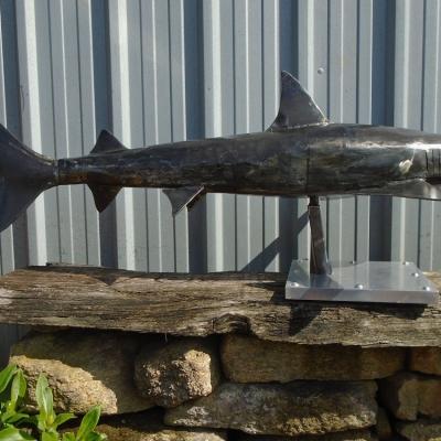 Sculpture requin pointe noire réaliser à la main