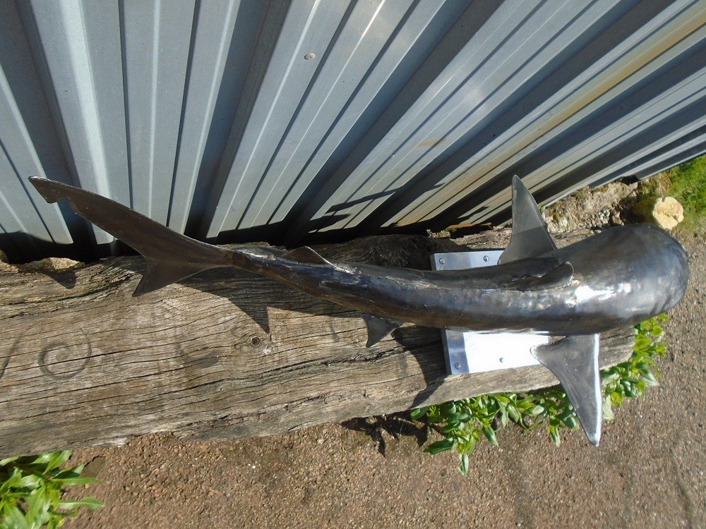 Sculpture requin pointe noire en métal réaliser à la main