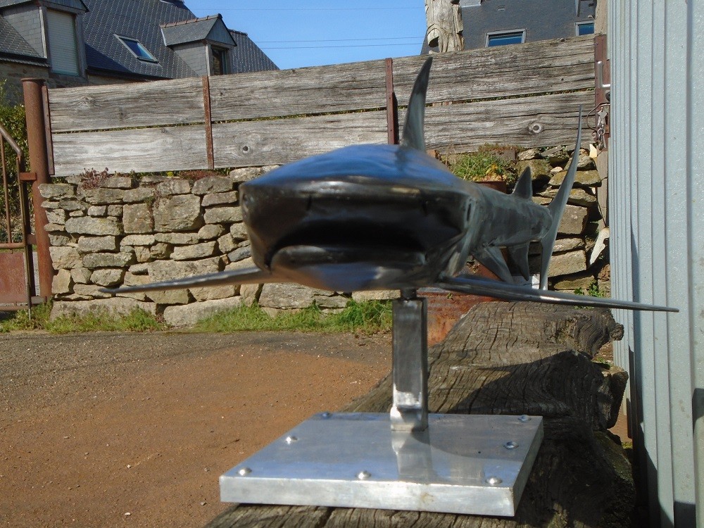 Sculpture requin pointe noire réaliser à la main