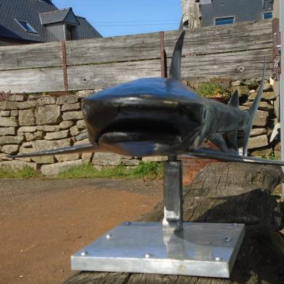 Sculpture requin pointe noire réaliser à la main